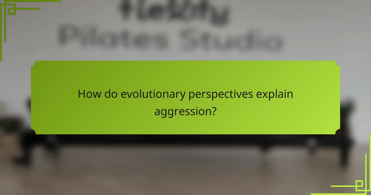 How do evolutionary perspectives explain aggression?